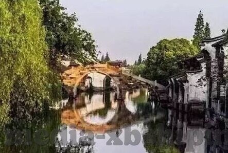 igao视频 麻豆-探秘视频行业的创新前沿，IGAO视频与麻豆现象的新发展